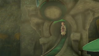 【ティアキン】依頼を受けて、シオンちゃんを運んで遊んでみた【ドリカラ】【ボイスピ実況,ゼルダの伝説ティアーズオブザキングダム,TotK,ゼル伝】