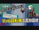 失ったポケモンは二度と戻らない。【ポケモンエメラルド】#15