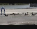 2023年10月15日高知競馬1R ２歳新馬 ホーリーバローズ
