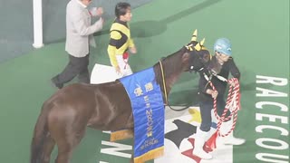 第67回ＭＲＯ金賞（フォーウィールドライブ賞） 口取り撮影のみ