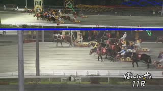 第46回ナナカマド賞 ホクセイポルシェ