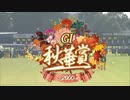 【ウマ娘風】第28回秋華賞 GⅠ(2023)【リバティアイランド】【マスクトディーヴァ】
