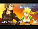 【初見実況】SAO ReHF実況スタート#45 夕暮れの兄妹【ソードアートオンラインRe: ホロウ・フラグメント】
