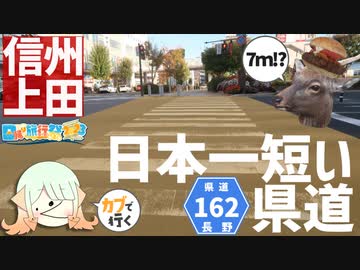 【ゆっくり車載】寝坊したヤツが行く！信州上田ツーリング！【ハンターカブ】