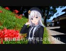 Voicepeak防長路巡り【日帰り旅行祭2023】彼岸花詣〜【彼岸花と寺社参拝と名月と】初稿　山口県岩国市、柳井市、田布施町　