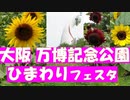 万博記念公園のひまわりフェスタ　大阪千里万博記念公園にヒマワリを見にいきました。