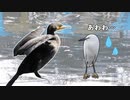 【野鳥観察】コサギ、カワウに居場所を乗っ取られる