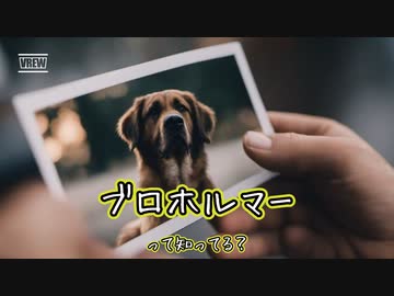 ブロホルマーって知ってる？