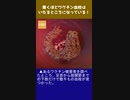 驚くほどワクチン血栓はいたるところになっている！