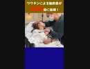 ワクチンによる脳疾患が5000倍に急増！