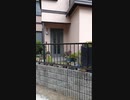 【愛知】集団ストーカーの自宅を盗撮する糖質患者