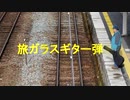 旅ガラスギター弾き(Traveler Guitar Player)VY2