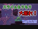 【SteamNEXTフェス広め隊 part4】Slime with gun! Slime 3K: Rise Against Despotをプレイ！(前編)【ゆっくり実況】