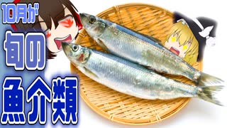 【ゆっくり解説】10月が旬の魚介類ついて解説！