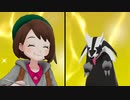 経済を回しながらコンプリートを目指すポケットモンスターシールド【part9 ワイルドエリア回①】