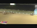 2023年10月16日浦和競馬11R おめでとう的場文男騎手デビュー５０周年記念(B2-二・B3-一) パールアゲイン