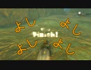 ボール遊びを勇者が真剣にやる動画『ゼルダ　名場面』