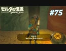 【ゼルダの伝説BotW】実況プレイ-part75-