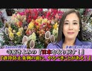 寺原きよみの『日本を取り戻す！』第１５回「虐待防止条例の前に、やるべきことがある！(前半)」寺原きよみ  AJER2023.10.17(2)