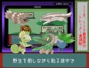 エメラルド色違い旅Part22
