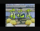 【ウマ娘風】第48回GⅠ菊花賞(1987)