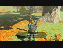 ゼルダの伝説　ブレス オブ ザ ワイルド　実況プレイPart68