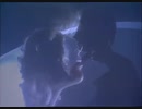ジョー・エスポジト　レディ・レディ・レディ　Joe Esposito - Lady, Lady, Lady (1983)