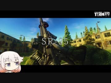 SR-25 手作りリグと寮防衛戦【ONE実況】【タルコフ】【EFT】