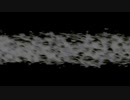 Line Cloud Fiber Particle