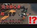 【実況】完全初心者トロールVALORANT