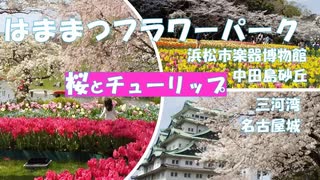 静岡　はままつフラワーパーク　桜とチューリップを一緒に見よう。