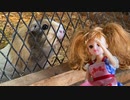 リカ、動物とのたわむれ
