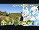 2023年10月17日　農作業日誌P785　今日は出稼ぎでゆら早生や日南を収穫したりです