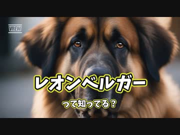レオンベルガーって知ってる？