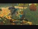 ゼルダの伝説　ブレス オブ ザ ワイルド　実況プレイPart69