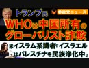 1018トランプ氏「WHOは中国所有のグローバリスト詐欺」【参政党ニュース】