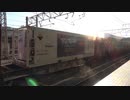 【初めて】ブルボンアルフォートコンテナ積載貨物列車(20231018)【見たかも】