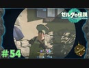 もはやそれはストーカーの目なんよ　「ゼルダの伝説～ティアーズ・オブ・ザ・キングダム」　＃54