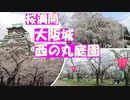 大阪城西の丸庭園　桜満開　桜満開の大阪城の西の丸庭園です。