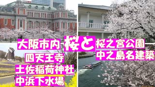 大阪市内の桜スポット　鶴見緑地、桜宮公園、大阪造幣局、中之島大阪市中央公会堂、中浜下水処理場、井高野の緑道、四天王寺、土佐稲荷神社。