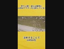怒り心頭！ 彼らは動物にmRNAワクチンを注射している!