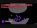 たぐ科学ちゃんねる　毒08　サリン