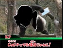 スープ(生声没動画）