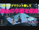 【FF14】フライングマウント無しで『私の可愛い「子猫」ちゃん』クリア【アスレチック】