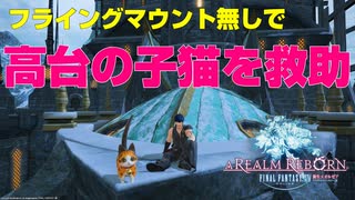 【FF14】フライングマウント無しで『私の可愛い「子猫」ちゃん』クリア【アスレチック】