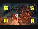 【実況】いまだかつてないほどカオスなエルデンリング　Part8 前編