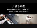 【FF14】喜びの神域エウプロシュネ【月満ちる夜】ヴァイオリンとピアノで弾いてみた！