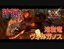 【実況】ぼっちハンターが行く！モンスターハンターXX第62回