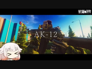 AK-12 全力全開フルパワー、えーけー１２です！【ONE実況】【タルコフ】【EFT】