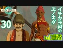 【TK30】イチカラ村のエノキダ！ゼルダの伝説ティアーズオブザキングダムを実況学習【VTuber】